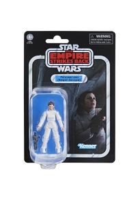 Princess Leia (Bespin Escape)