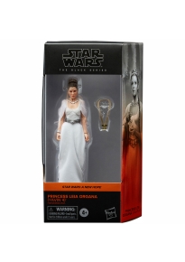 Princess Leia Organa (Yavin 4)